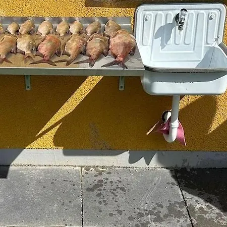 Am Oase Am Vilzsee Apartman Diemitz