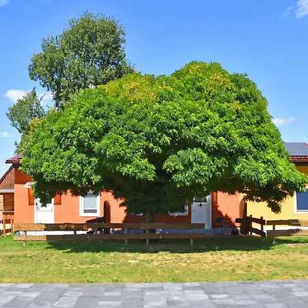 Am Oase Am Vilzsee Appartement *