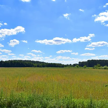 Am Oase Am Vilzsee * Diemitz (Mecklenburgische Seenplatte)