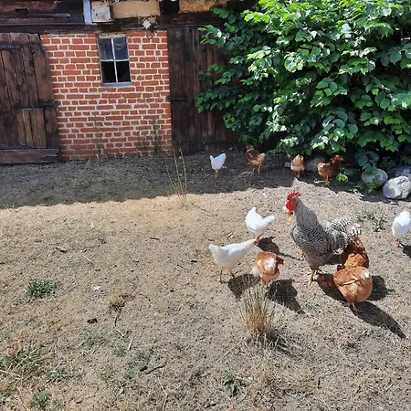 Am Oase Am Vilzsee Appartement *