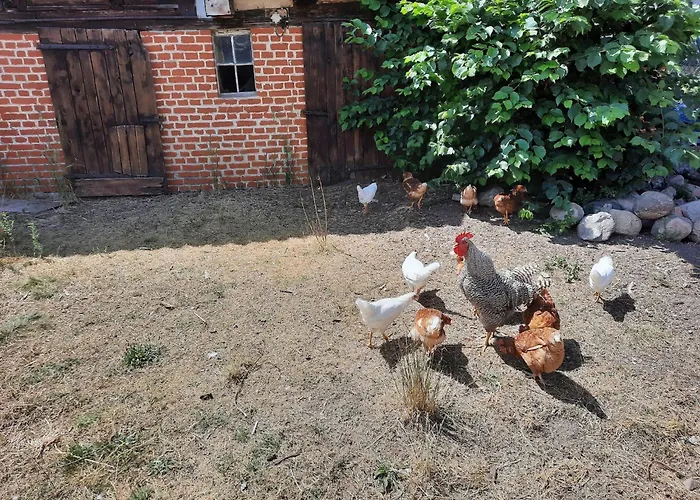 Am Oase Am Vilzsee Daire *